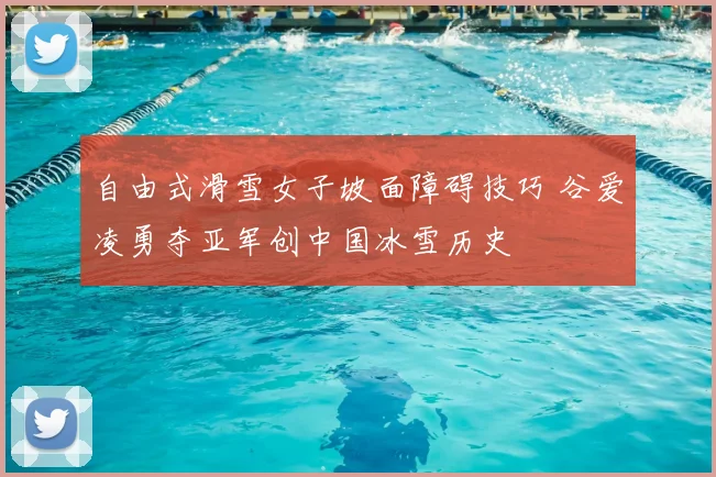 自由式滑雪女子坡面障碍技巧 谷爱凌勇夺亚军创中国冰雪历史