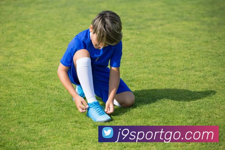 J9九游会平台生态图